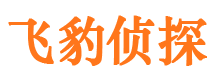 渑池外遇调查取证